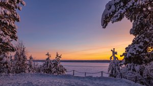 В сказочных объятиях тайги. ГРЭС. ТАЙГА. ПЕЧОРА.