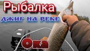 Как поймать трофейную рыбу осенью? Джиг на реке Оке!