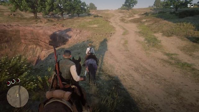 Red Dead Redemption 2 #30