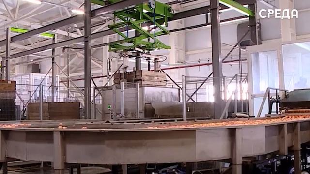 Россельхознадзор проверил качество сельхозпродукции Дагестана для федеральных торговых сетей