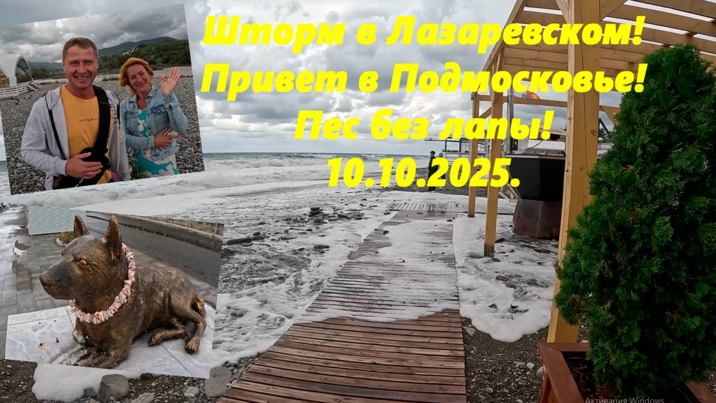 Шторм в Лазаревском! Привет в Подмосковье а пес без лапы! Лазаревское 10.10.2025.