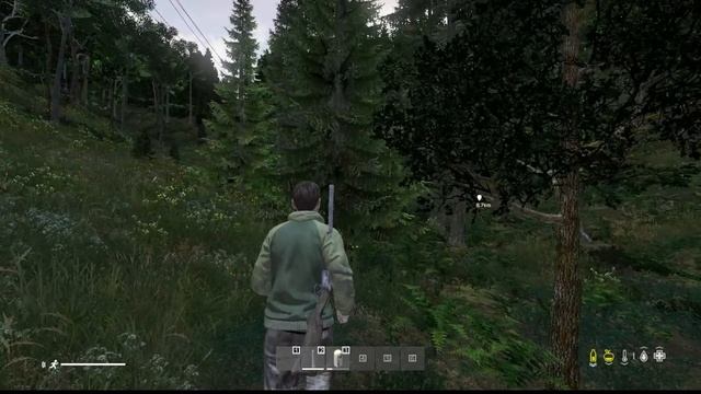 DayZ вот и лето пришло! летний сервер