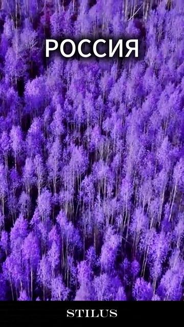 Россия/Russia. #Россия #Russia смотреть онлайн