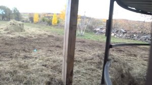 Возвращение после обновления !