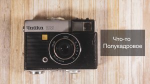 Озеро, лес и Чайка 2м