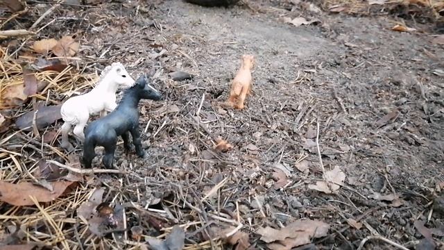 История жеребят :часть вторая. Лошади шляйх видео