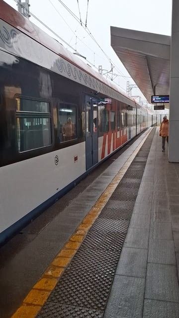 Вот это мощьэлектричка поезд скорость быстро подмосковье москва