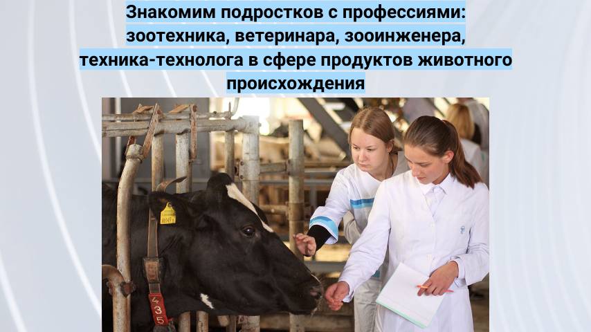 Профессия ветеринар, как помогать животным? Кинологи и пример  дрессировки собак