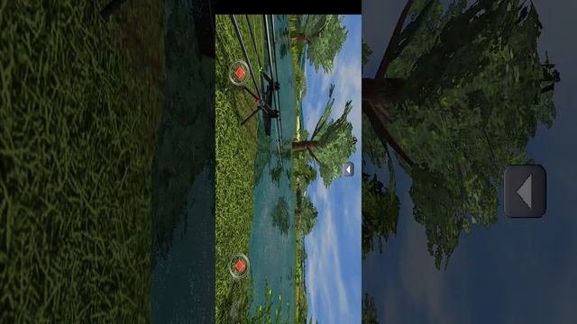 3Д Carp2