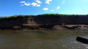 сплав по белой