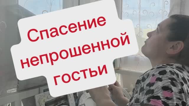 Пошла н больничный. Спасаем нашу незваную гостью.
