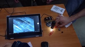 Пиявки для очистки крови, железо под микроскопом