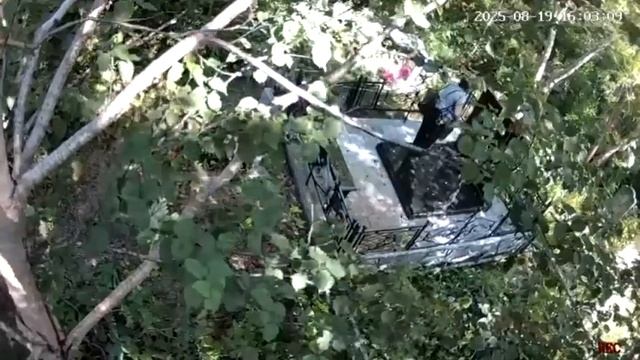 Пенсионерка попала под следствие за осквернение захоронения
