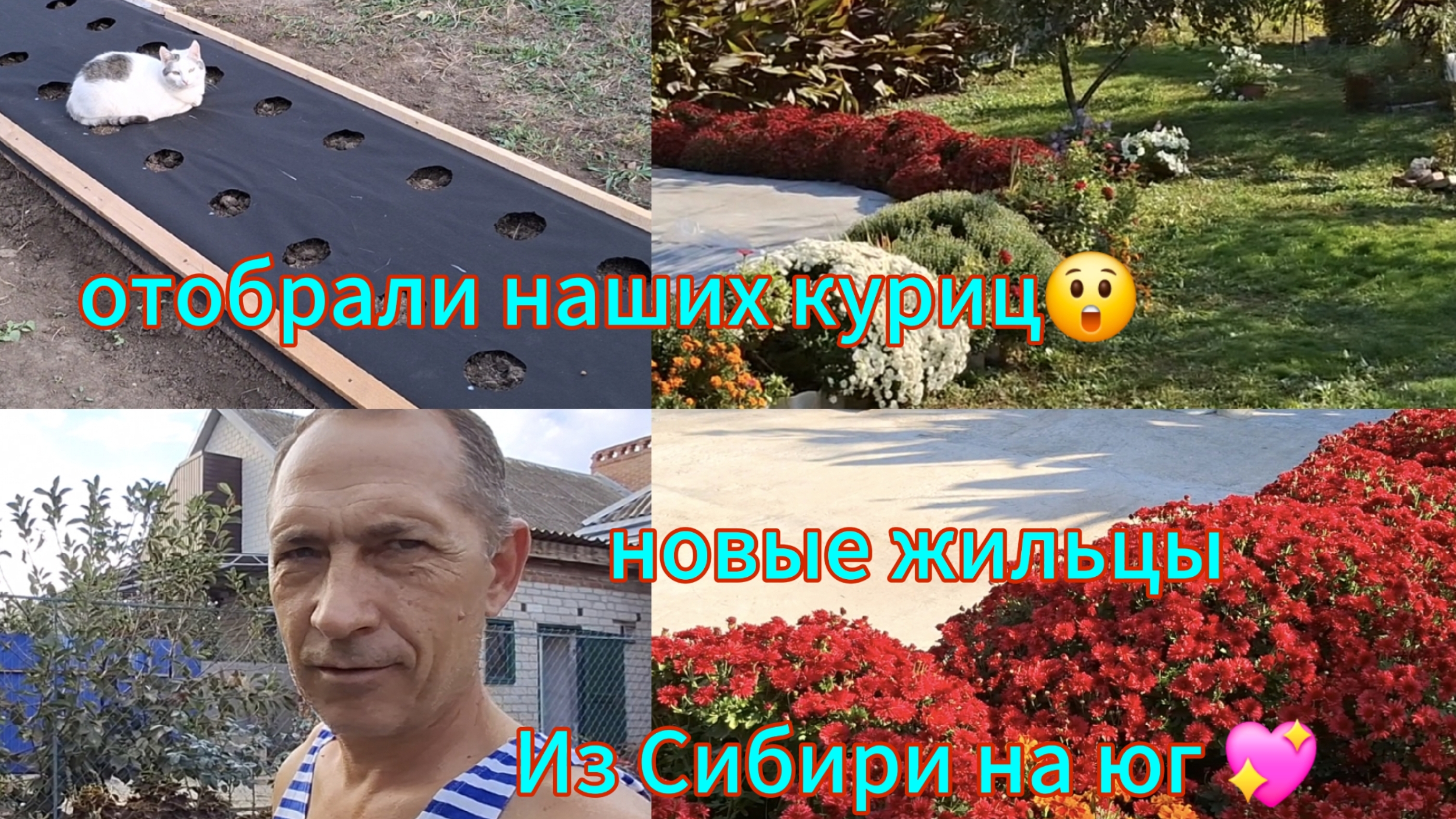 10-10-2025 Переезд из Сибири на юг 💖//Отобрали наших куриц //Грядка готова//Новые жильцы //Романтик