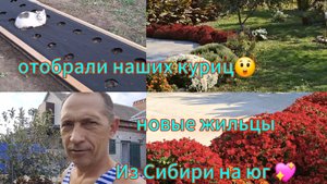 10-10-2025 Переезд из Сибири на юг 💖//Отобрали наших куриц //Грядка готова//Новые жильцы //Романтик