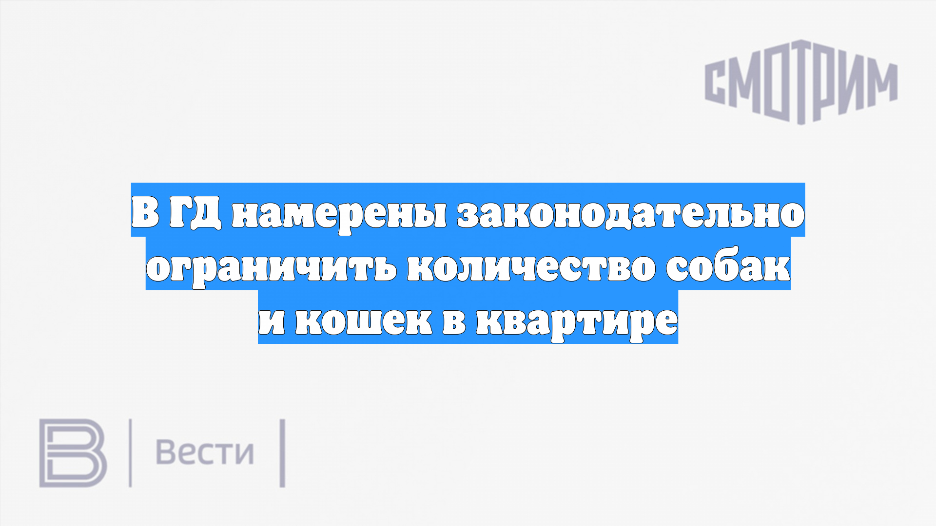 В ГД намерены законодательно ограничить количество собак и кошек в квартире