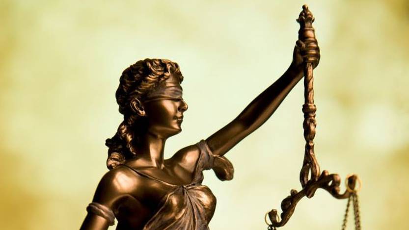 TOLES FOUNDATION. Company Law. Introduction.
