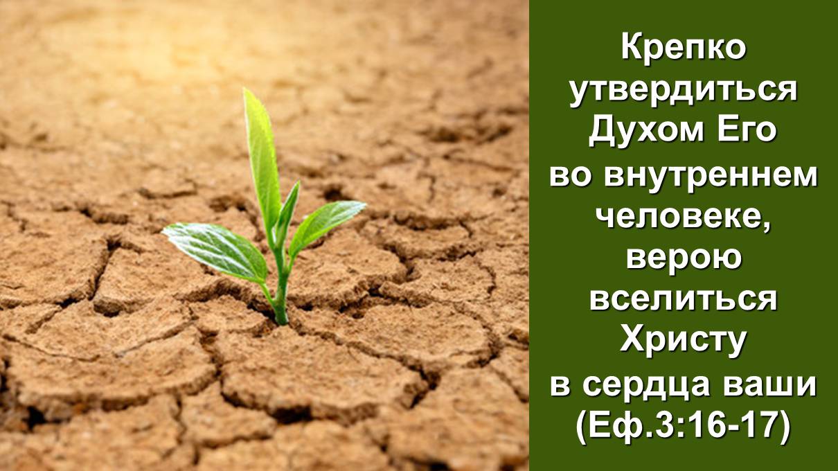 Крепко утвердиться Духом Его во внутреннем человеке (Еф.3:16) Служение церквей ЕврАзии 9.10.2025