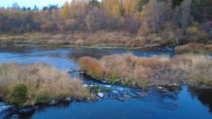 Река Кокшеньга, перекат 10.10.2025