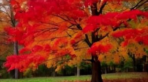 Осень в октябре