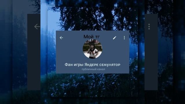Мой тг