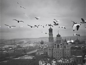 Ожившее время фотографа Сергея Челнокова