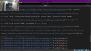 Отчёт по лабораторной работе 3. Компьютерный практикум по статистическому анализу данных.