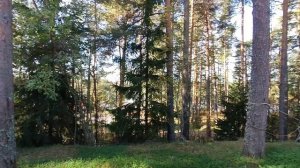 Йоханнес яхтенный порт, поселок Советский