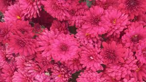 НОВАЯ ЗАСТАВКААА!!!