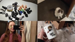 АРХИВ 2023 | новая работа | первые впечатления | vlog 26-29.01.2023