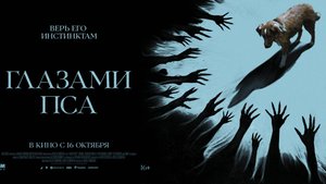 Глазами пса