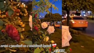 мелодия души ❤️🩹