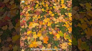 "Осенняя сказка"_Ирина Самарина-Лабиринт.mp4