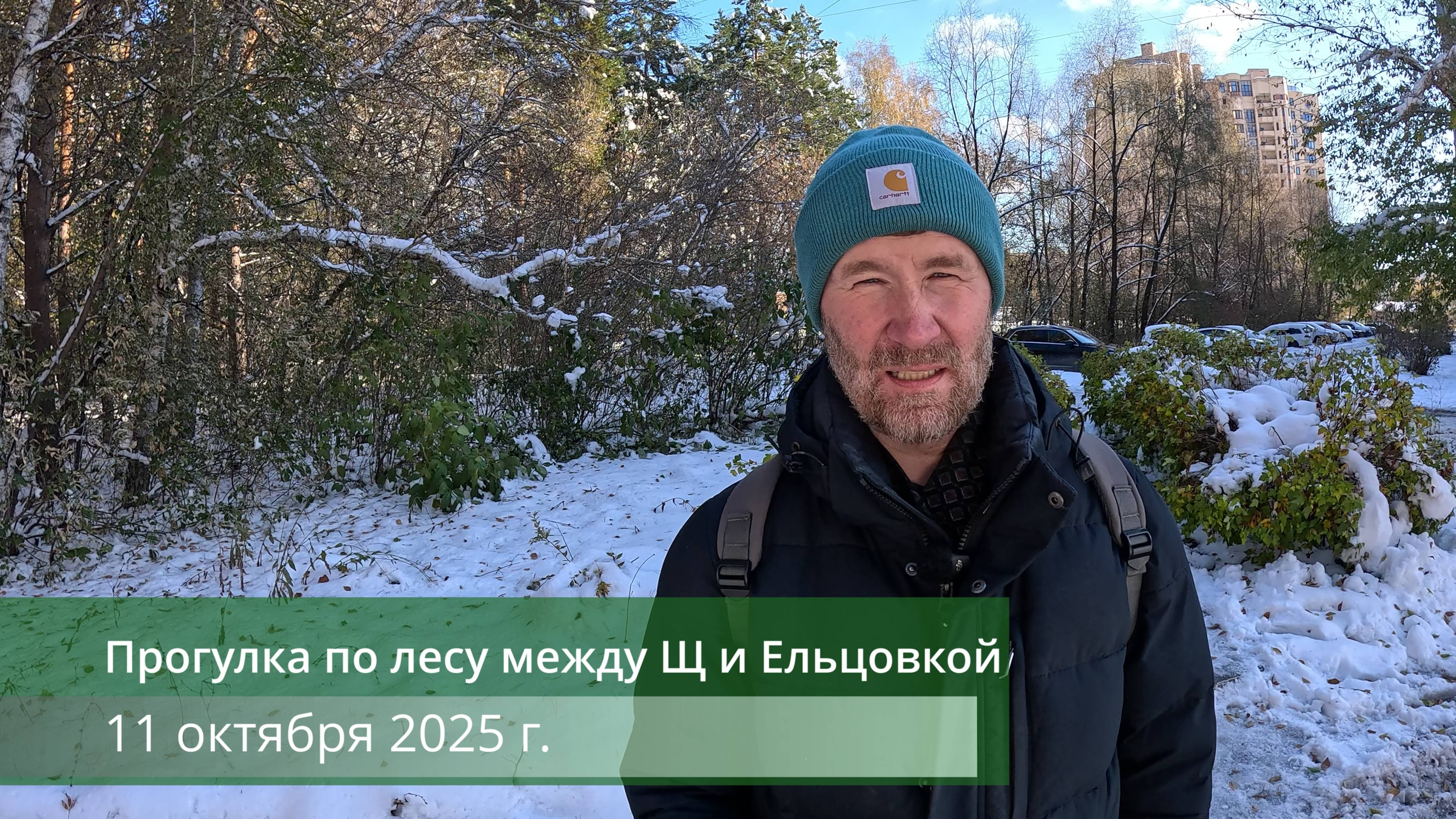 Прогулка по лесу между Щ и Ельцовкой, 11 октября 2025 г.