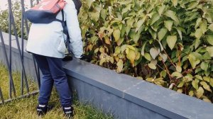 Ищем находки во дворе