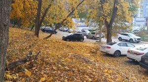 *В подворотне 🍁🍂🍂ОСЕНЬ танцевала*Какая красивая 😍💓песня. Со мной приглашаю пошуршать листьями.