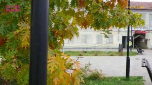 116.ПЕШИЕ ПРОГУЛКИ Лебедянь 10окт25.vovich video