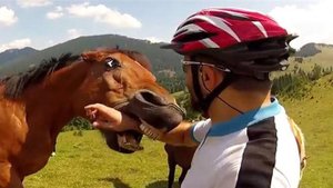 Самоуничтожение по глупости
