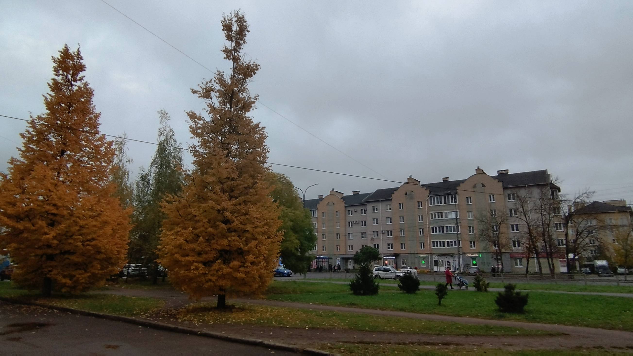 Два дня из жизни работающей пенсионерки/Показываю чем мужа в больнице кормят