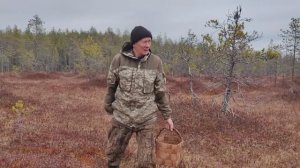 Один из осенних дней