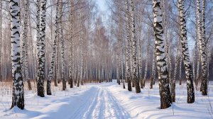 Артем Гельман - Встреча