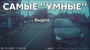 Подборка САМЫХ "УМНЫХ" водителей #1181