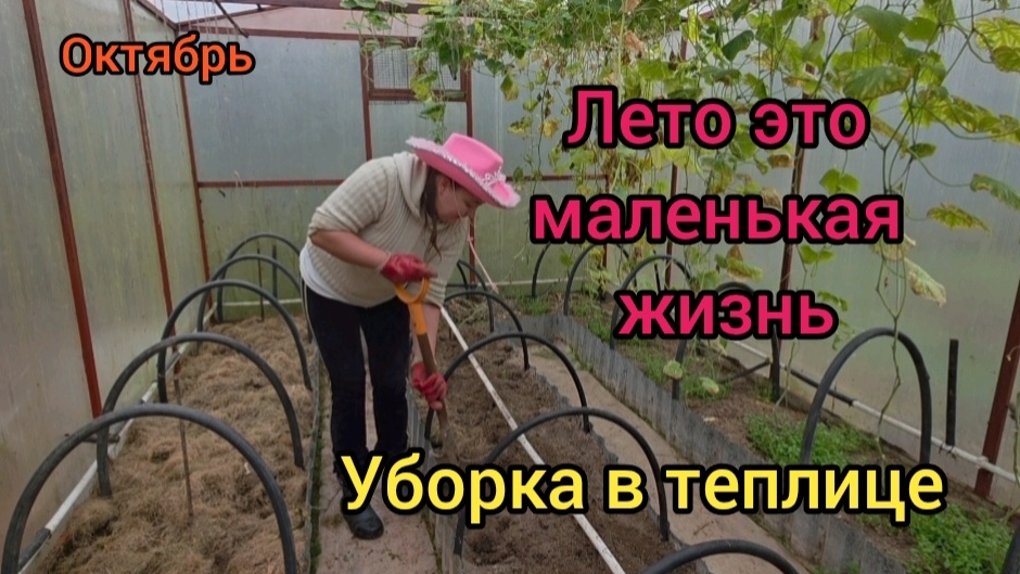 🏡 Жизнь в деревне 10 октября 2025