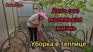 🏡 Жизнь в деревне 10 октября 2025