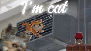 это наверное самый частозадозадоваемый вопрос от всех игроков которые нашли это в I'm cat vr