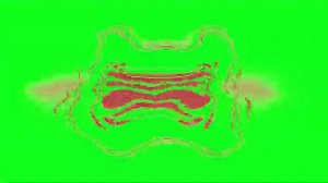 (REUPLOAD) Klasky Csupo in G Major 30 Render Pack Collection V763