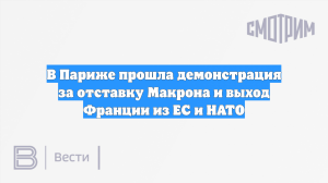 В Париже прошла демонстрация за отставку Макрона и выход Франции из ЕС и НАТО