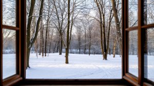 Артём Гельман - Новый дом