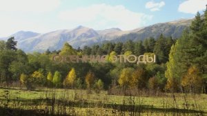 Осенние этюды