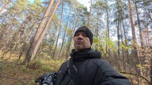 Прогулка по городскому бору №1